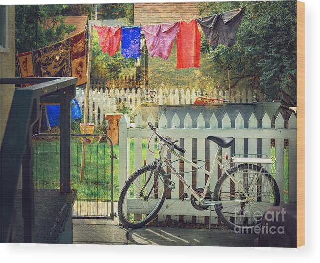 Livingston Wood Print featuring the photograph White River Bicycle by Craig J Satterlee