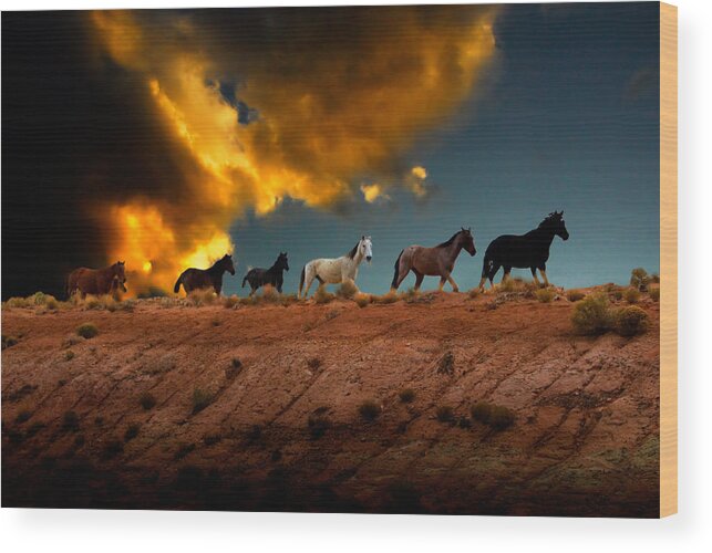 Wild Horses Wood Print featuring the photograph Wild Horses at Sunset by Harry Spitz