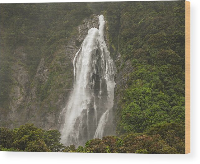 Milford Sound Wood Print featuring the photograph Wild New Zealand by Racheal Christian