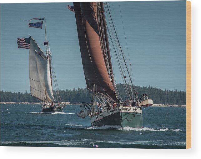  Boat Wood Print featuring the photograph Windjammer Race by Fred LeBlanc