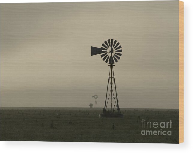 Kansas Wood Print featuring the photograph Windmill Perspective by Fred Lassmann