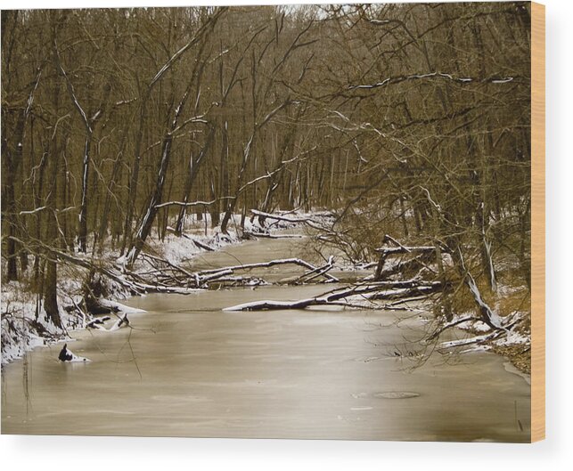 Creek Wood Print featuring the photograph Winter Creek by Bonnie Willis