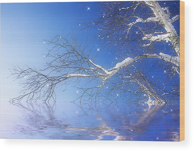 Birch Wood Print featuring the photograph Winter Magic by Trudy Wilkerson