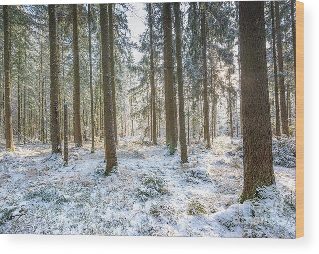 Blue Wood Print featuring the photograph Winter Wonderland by Hannes Cmarits