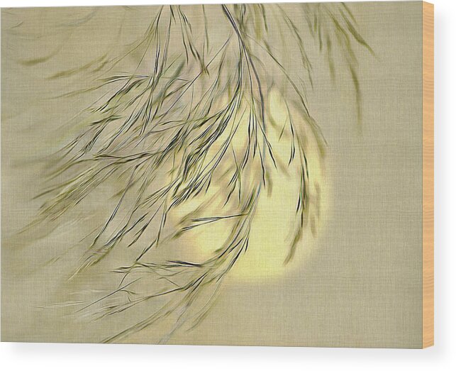 Sun Wood Print featuring the digital art Wispy Sunset-1 by Nina Bradica