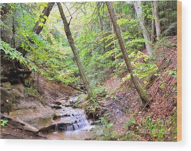 Brook Wood Print featuring the photograph Babbling Brook by Terri Gostola