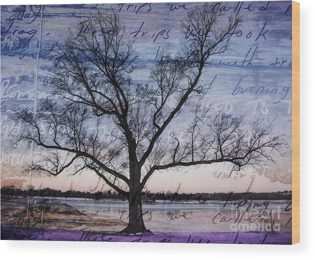 Written Wood Print featuring the mixed media Written on the Wind by Terry Rowe