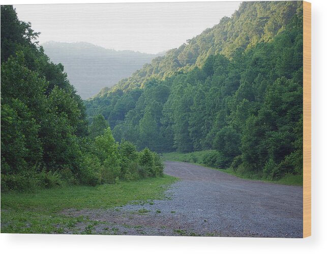 Wv Wood Print featuring the photograph Wv Hollow by Phil Burton