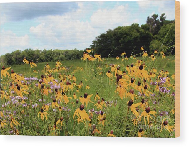 Yellow Cone Flowers Wood Print featuring the photograph Yellow Cone Flowers by Paula Guttilla