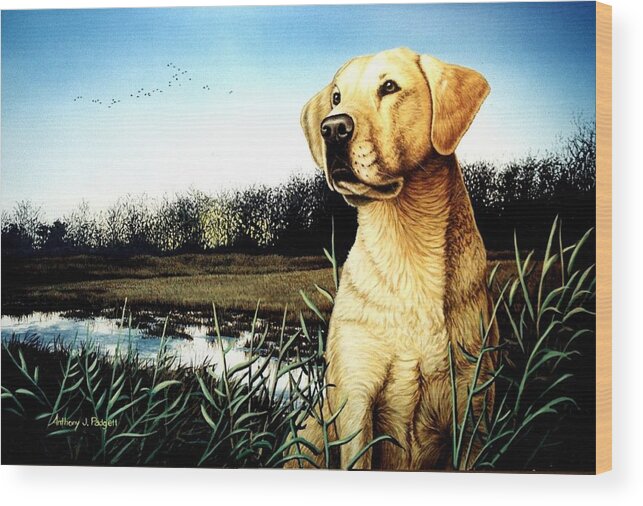 Yellow Lab Wood Print featuring the painting Yellow Lab Portrait by Anthony J Padgett