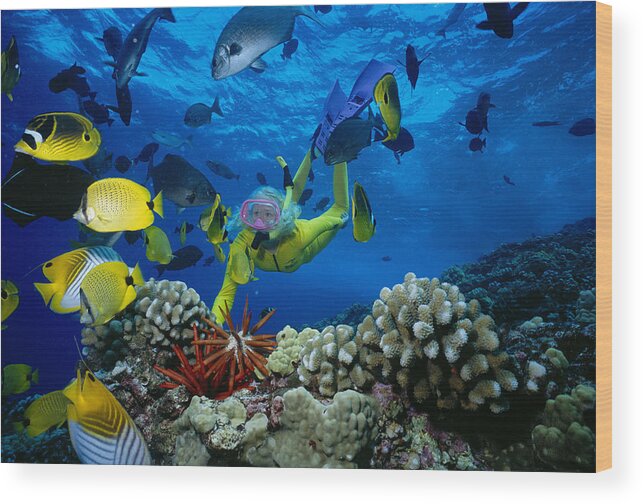 Blue Wood Print featuring the photograph Yellow Scuba Diver by Ed Robinson - Printscapes