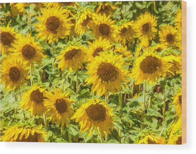 David Letts Wood Print featuring the painting Yellow Sunflowers by David Letts