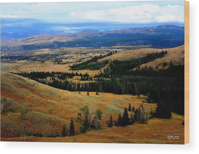 Yellowstone National Park Wood Print featuring the photograph Yellowstone by Carrie Putz