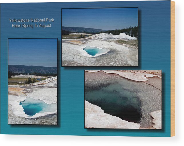 Yellowstone National Park Wood Print featuring the photograph Yellowstone Park Heart Spring In August Collage by Thomas Woolworth