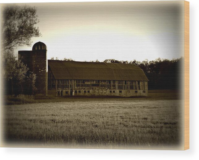 Barn Wood Print featuring the photograph Yesterday All My Troubles... by Scott Ward