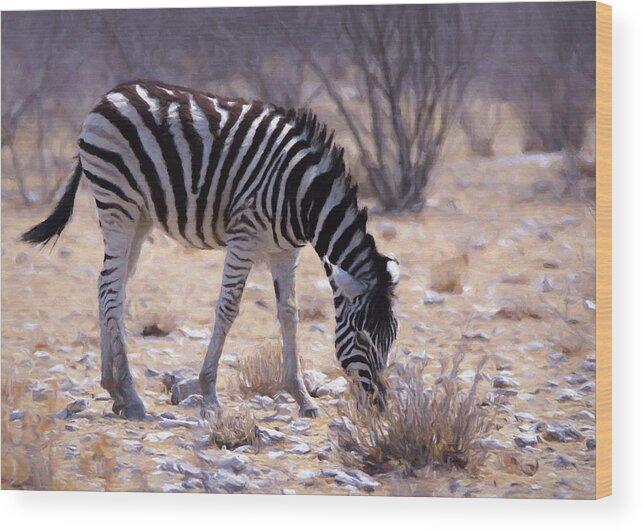 Zebra Wood Print featuring the digital art Young Plains Zebra by Ernest Echols