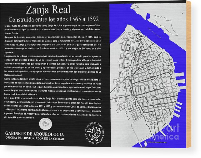 Digital Art Wood Print featuring the digital art Zanja Real Map by Francesca Mackenney