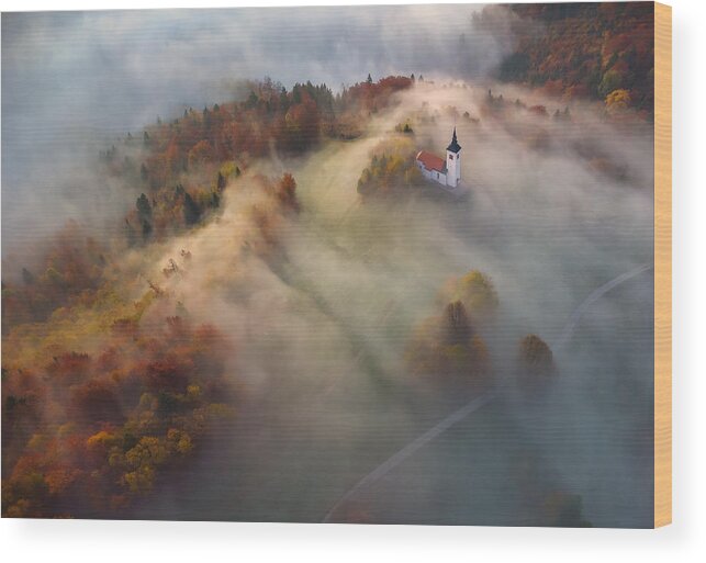 Autumn Wood Print featuring the photograph Autumn Morning #1 by Ales Komovec