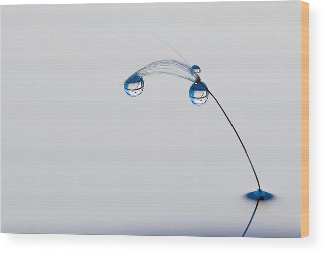 Drop Wood Print featuring the photograph Blue Mood #1 by Heidi Westum