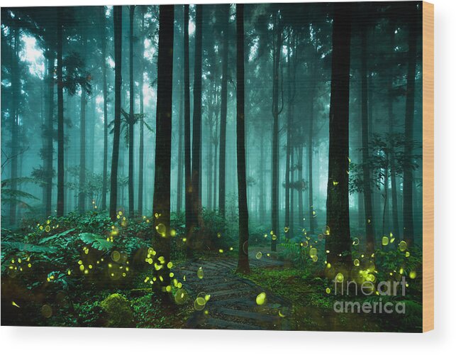 Through Wood Print featuring the photograph Firefly by Htu