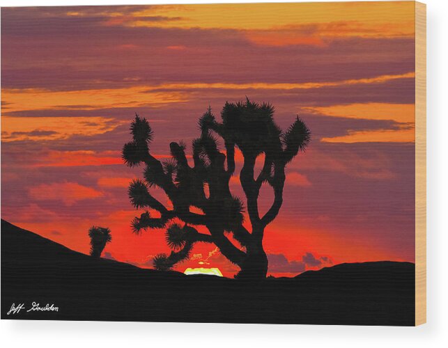 Arid Climate Wood Print featuring the photograph Joshua Tree at Sunset by Jeff Goulden