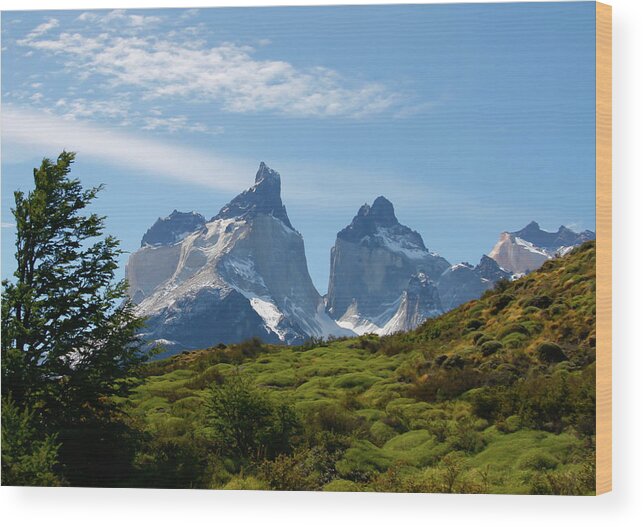 Majestic Wood Print featuring the photograph Torres Del Paigne Mountains Chile #1 by Doug88888