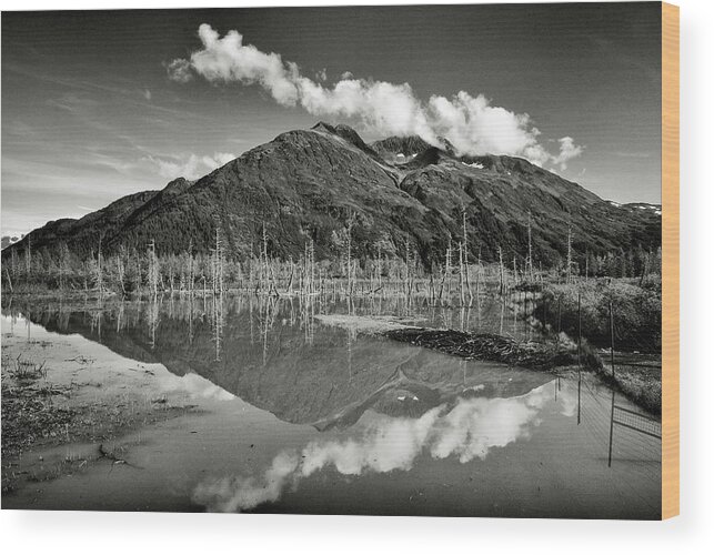 Alaska Wilderness Wood Print featuring the photograph Turnagain Arm Alaska #1 by Donald Pash