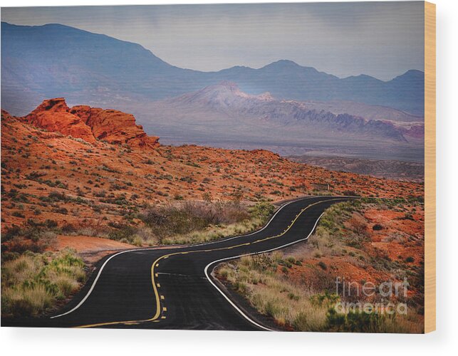 Valley Of Fire Wood Print featuring the photograph Winding road in Valley Of Fire #3 by Les Palenik