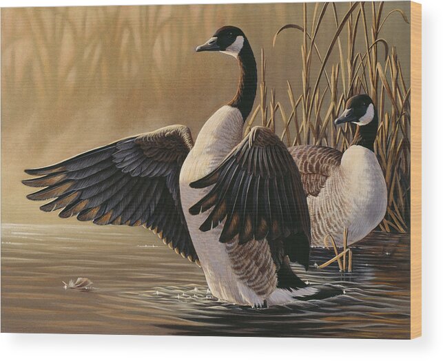 Canadian Geese In The Water Wood Print featuring the painting 1994 Canada Geese by Wilhelm Goebel