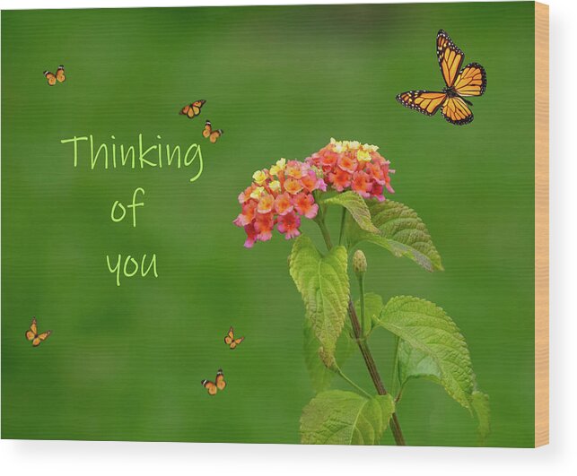 Greeting Card Wood Print featuring the photograph Thinking Of You #2 by Cathy Kovarik