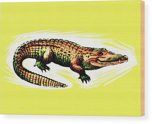 Alligator Wood Print featuring the drawing Alligator #3 by CSA Images