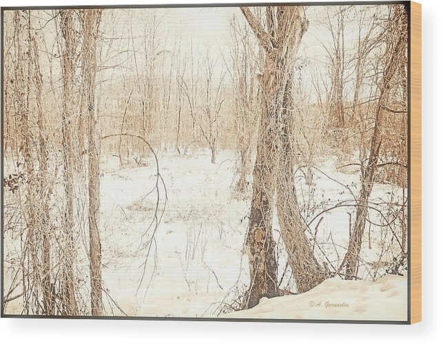 Digital Art Wood Print featuring the digital art Winter Scene, Montgomery County, Pennsylvania #1 by A Macarthur Gurmankin