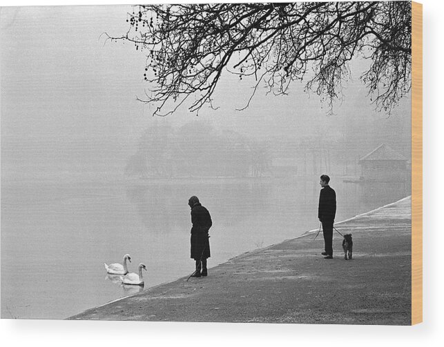 Nature Wood Print featuring the photograph Hyde Park #4 by Cornell Capa