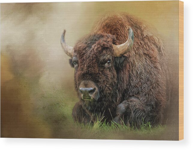 Buffalo Wood Print featuring the digital art A Buffalo's Rest by Jeanette Mahoney