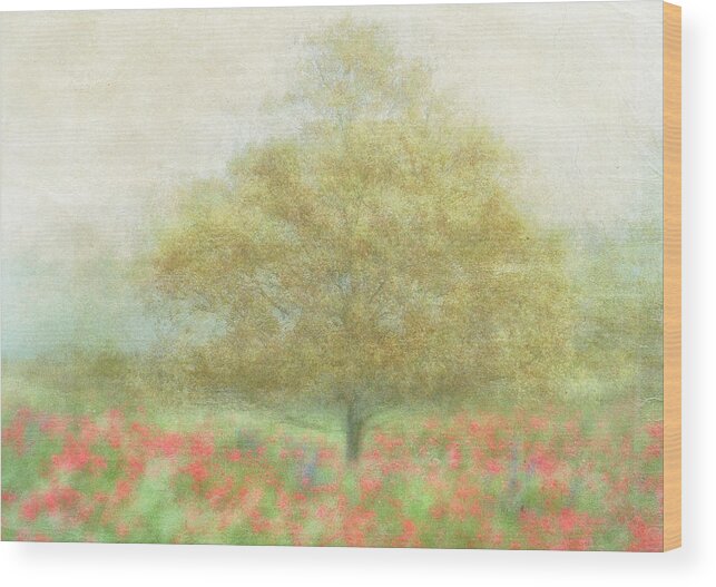 Summer Wood Print featuring the photograph A Dream Of Summer by Katarina Holmstrm