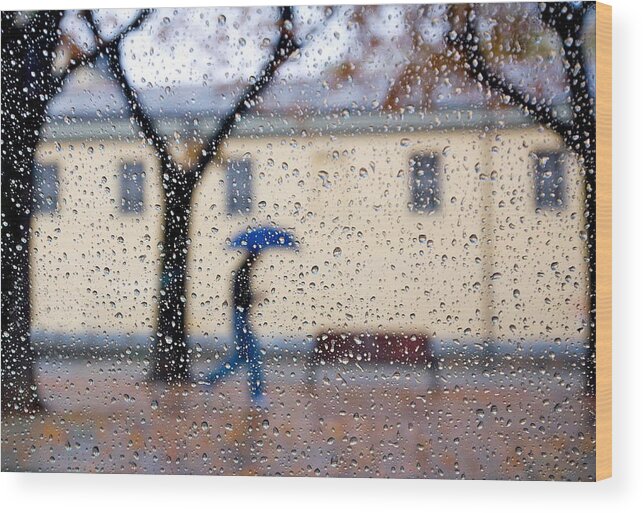 Abstract Wood Print featuring the photograph ....a Rainy Day by Giorgio Toniolo