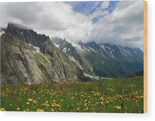 Grass Wood Print featuring the photograph Alpine Field & Mountains by Andrew Hares