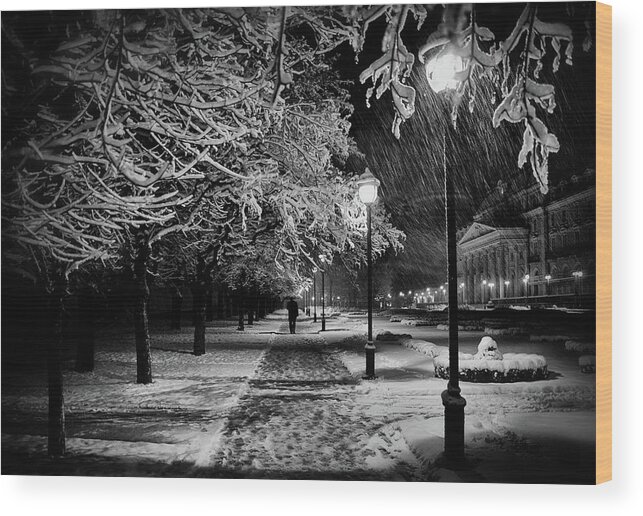 Winter Wood Print featuring the photograph At Night by Samanta Krivec