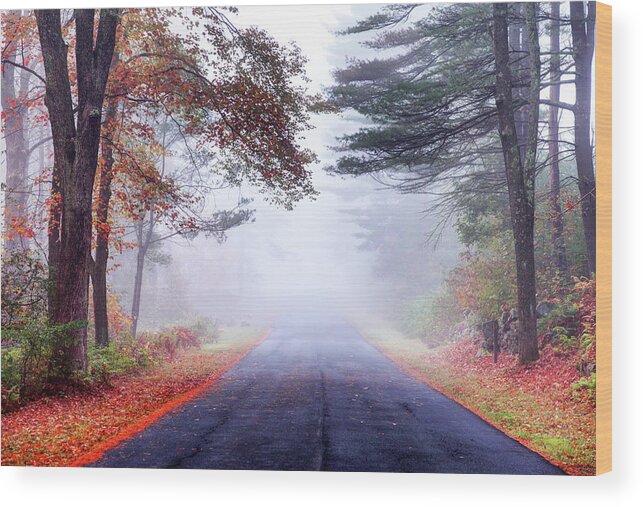 Scenics Wood Print featuring the photograph Autumn Road In The Quabbin Reservoir by Denistangneyjr