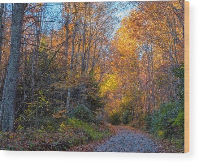 Back Road Beauty Wood Print featuring the photograph Back Road Beauty by Russell Pugh
