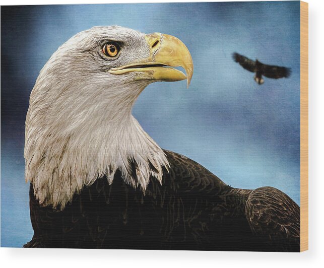 Eagle Wood Print featuring the photograph Bald Eagle and Fledgling by Bob Orsillo