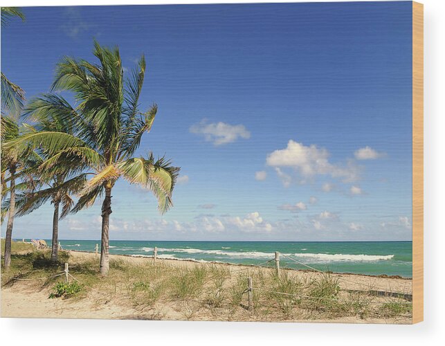 Tropical Tree Wood Print featuring the photograph Beautiful Landscape View Of Fort by Chang