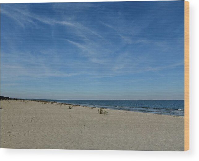Blue Sky Wood Print featuring the photograph Blue skies over Port Royal Sound by Dennis Schmidt