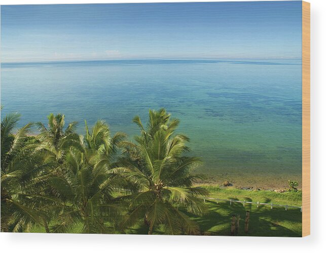 New Caledonia Wood Print featuring the photograph Blue Sky And Palm Trees At Noumea Bay by Juuce