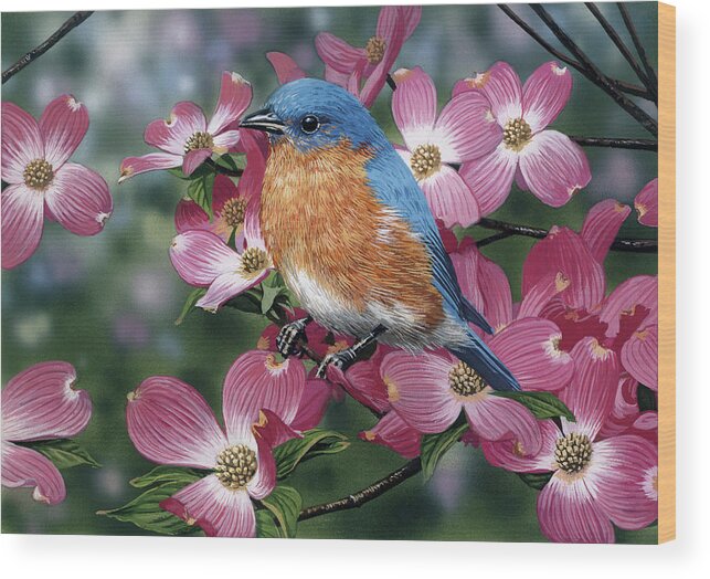 Bluebird Pink Dogwood Wood Print featuring the painting Bluebird/pink Dogwood by William Vanderdasson