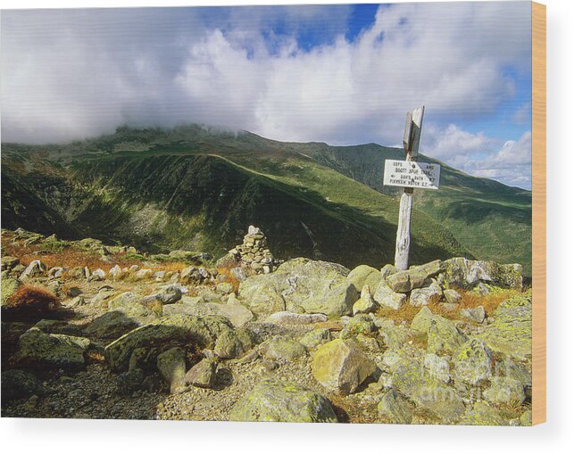 Alpine Zone Wood Print featuring the photograph Boott Spur Trail - Mount Washington, White Mountains by Erin Paul Donovan