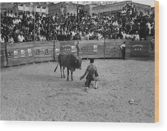 Crowd Wood Print featuring the photograph Bull Fight by Three Lions