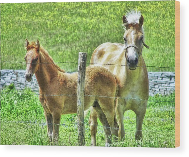 Always Wood Print featuring the photograph Celtic Ponies by Dressage Design