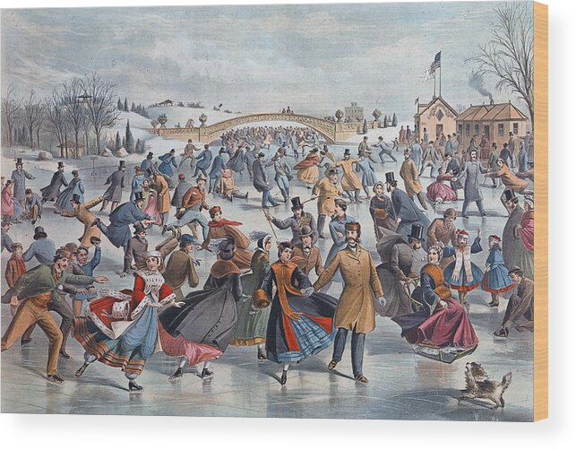 Pets Wood Print featuring the photograph Central-park, Winter The Skating Pond by Hulton Archive