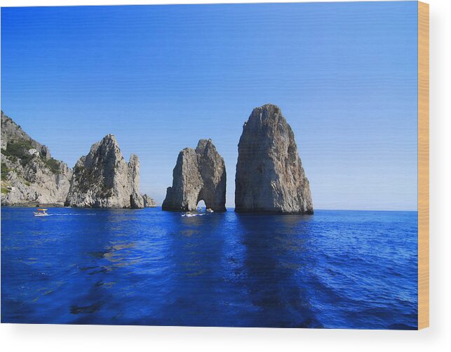 Scenics Wood Print featuring the photograph Cliffs Of Capri by Antonio Camara